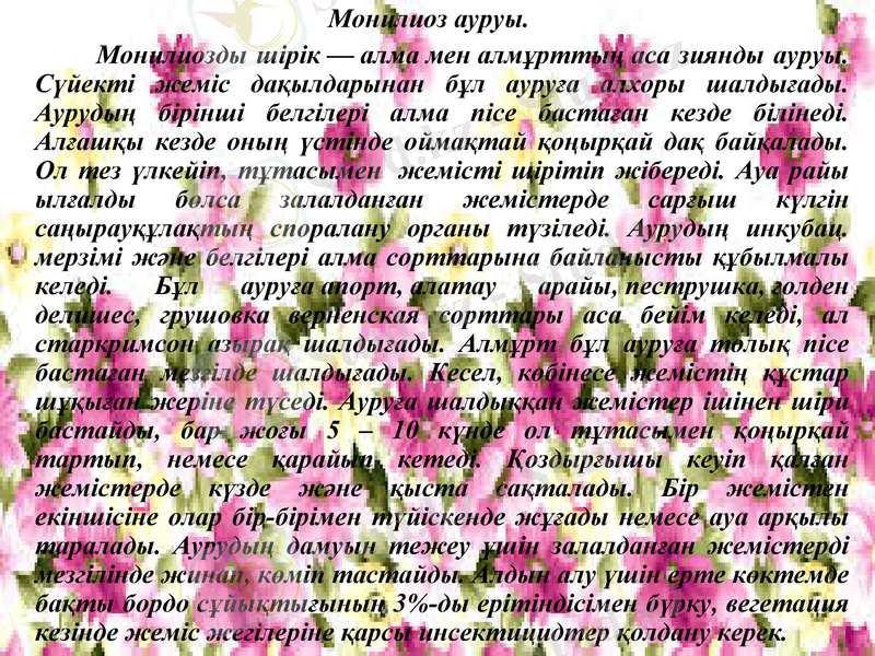 Slide 7