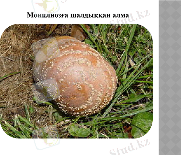 Slide 8