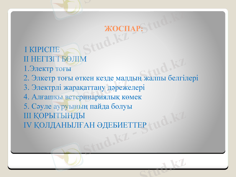 Slide 2