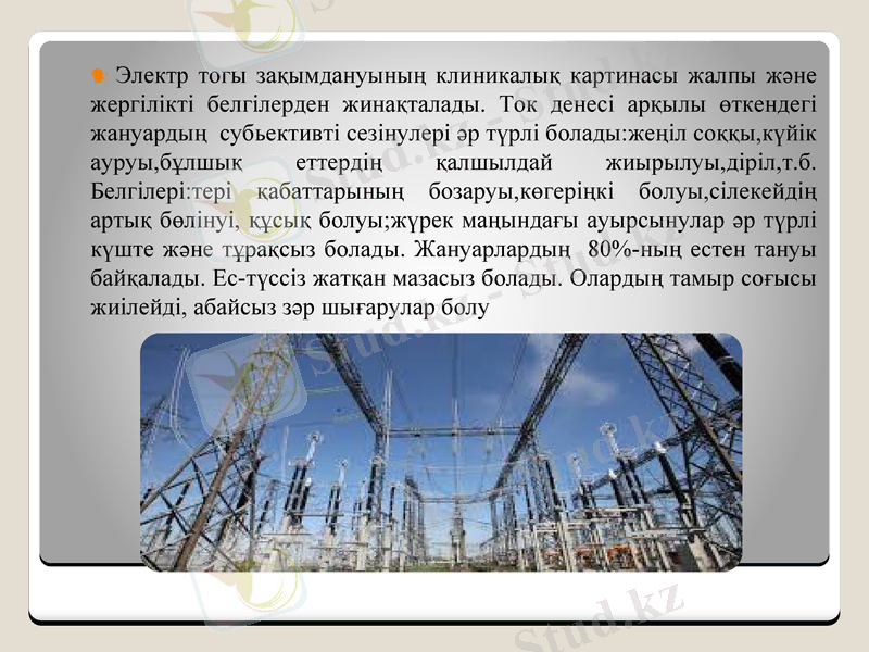 Slide 7