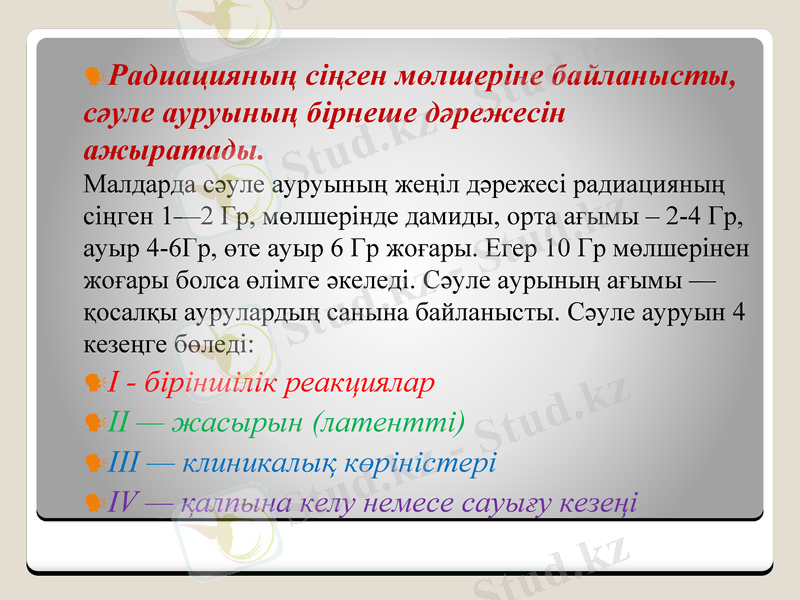 Slide 9