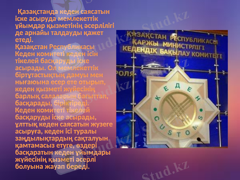 Slide 6