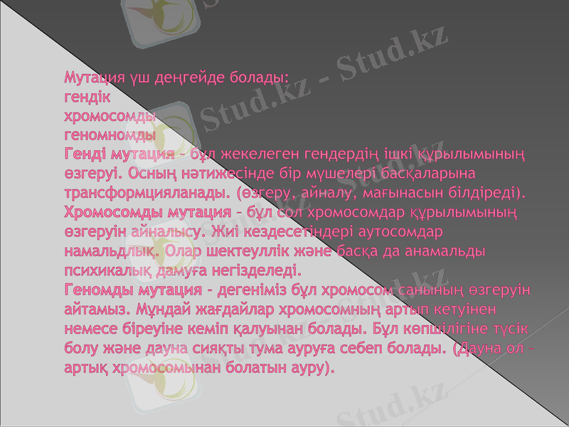 Slide 6