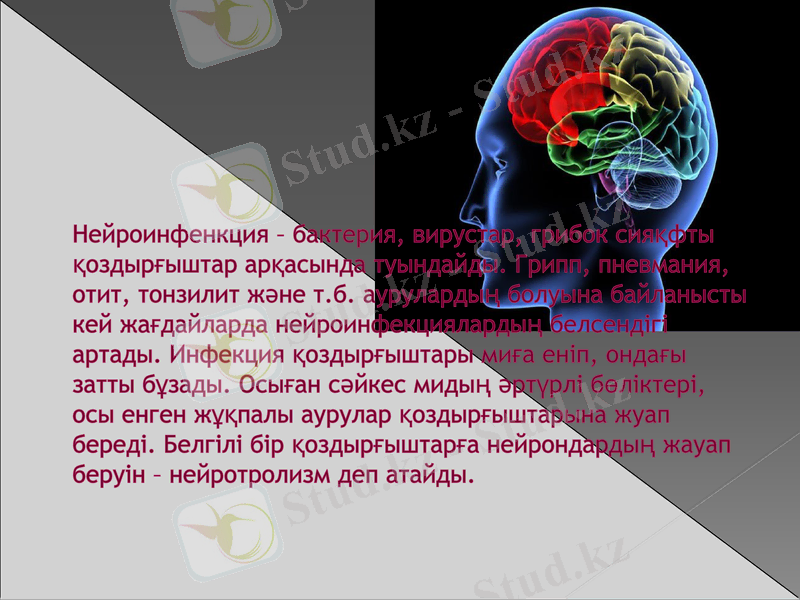 Slide 7