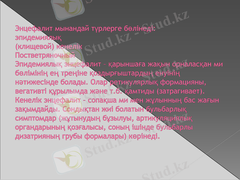 Slide 8