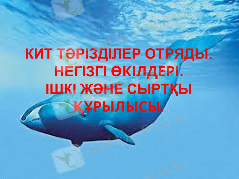 Slide 1