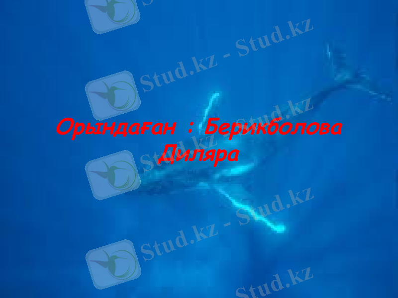 Slide 10