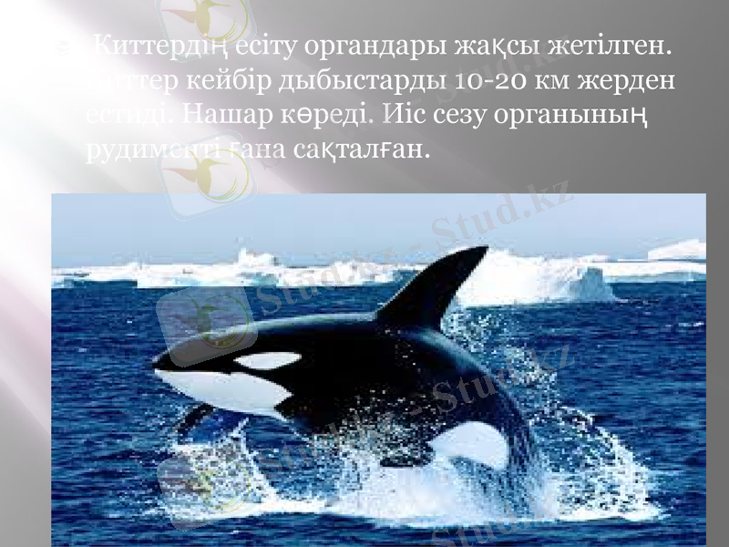Slide 7