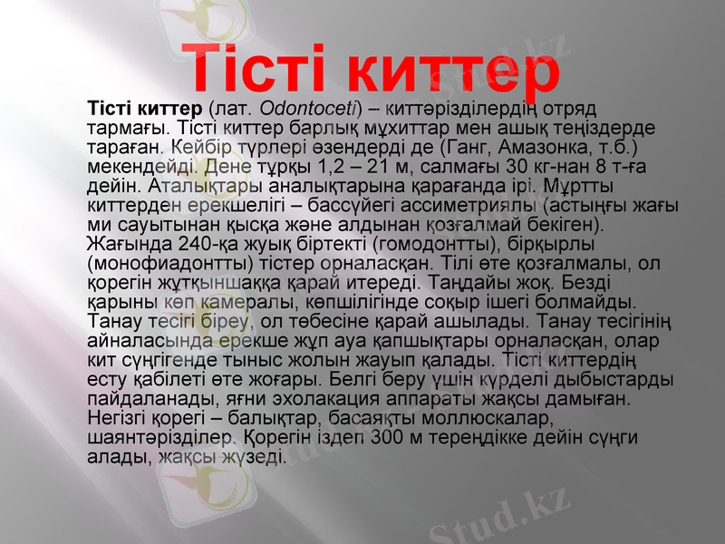 Slide 8