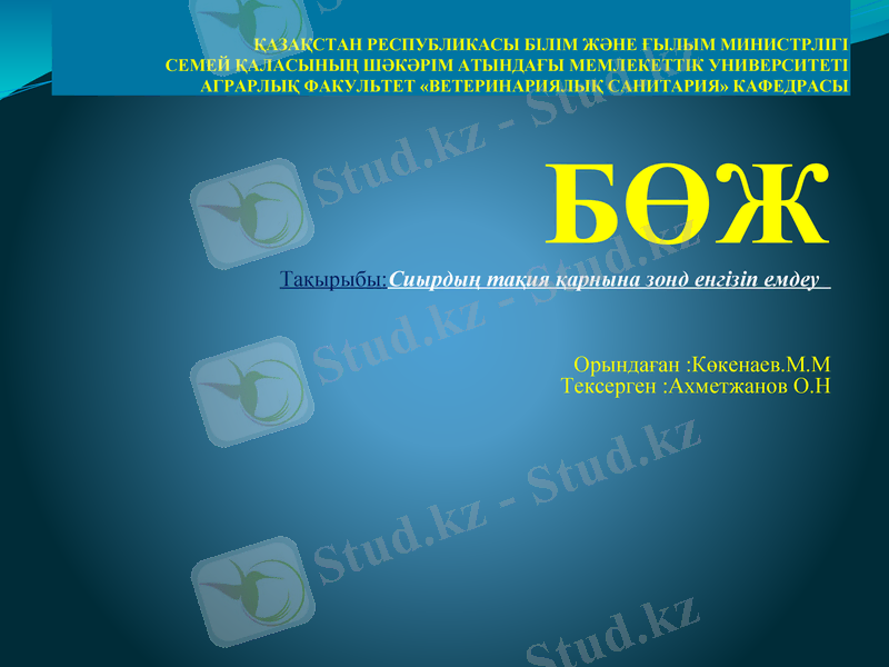 Slide 1