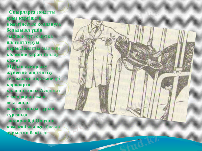 Slide 10