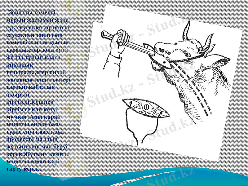 Slide 11
