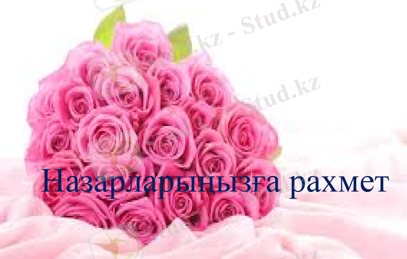 Slide 13