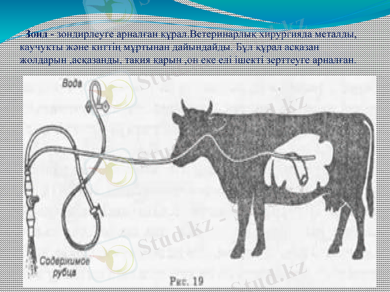 Slide 6