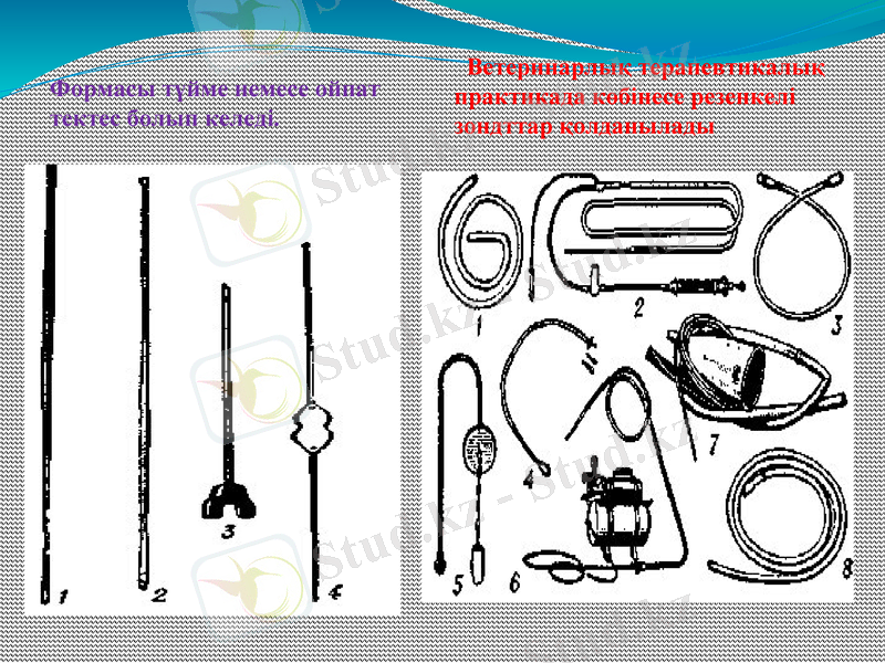 Slide 8