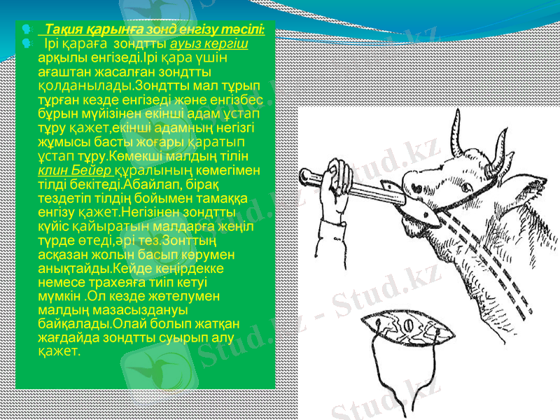 Slide 9