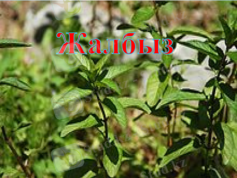 Slide 1