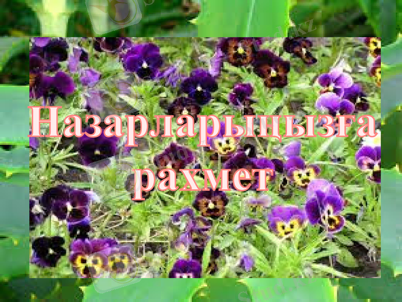 Slide 10