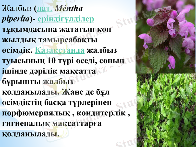 Slide 3