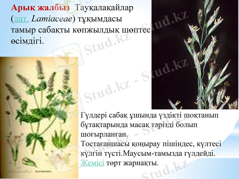 Slide 6