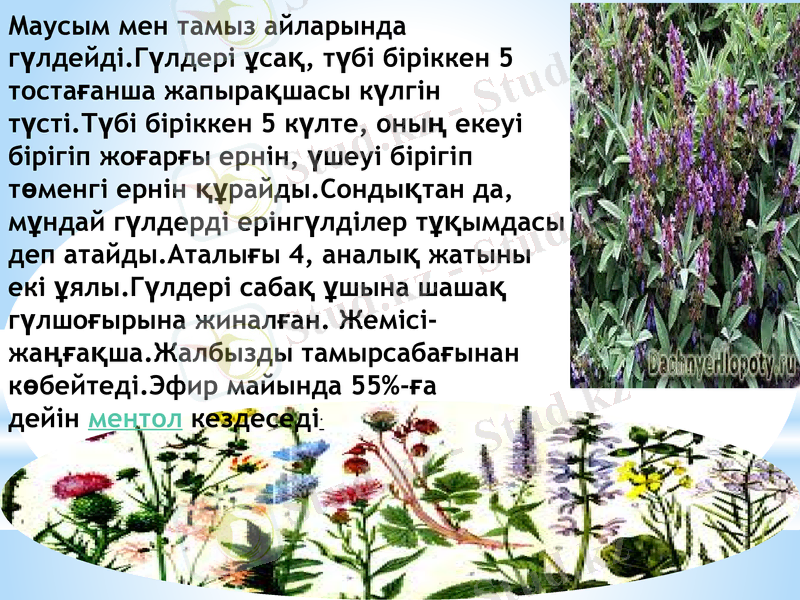 Slide 8