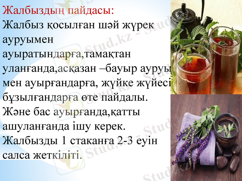 Slide 9