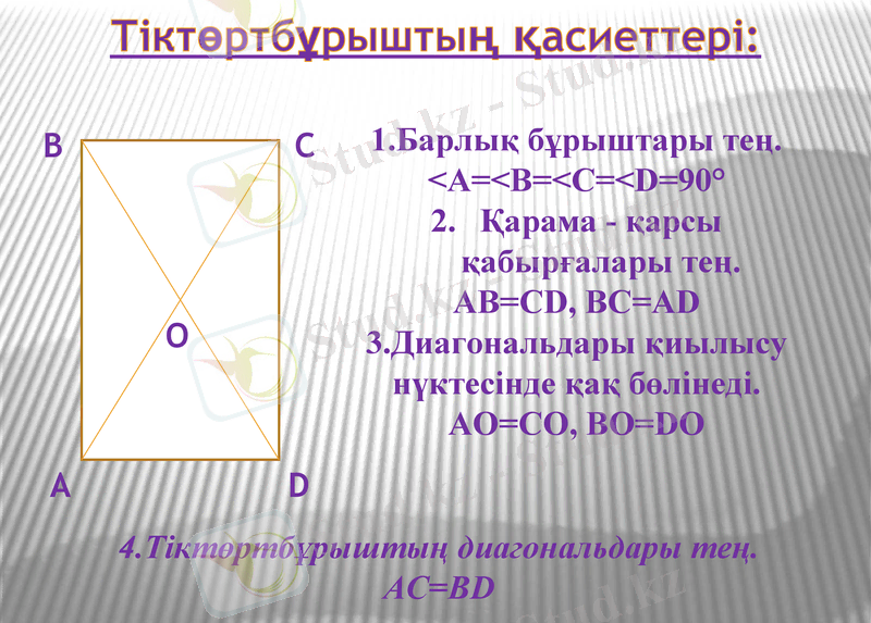 Slide 11