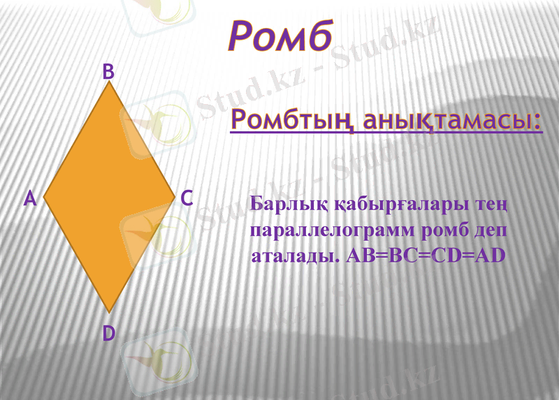 Slide 13