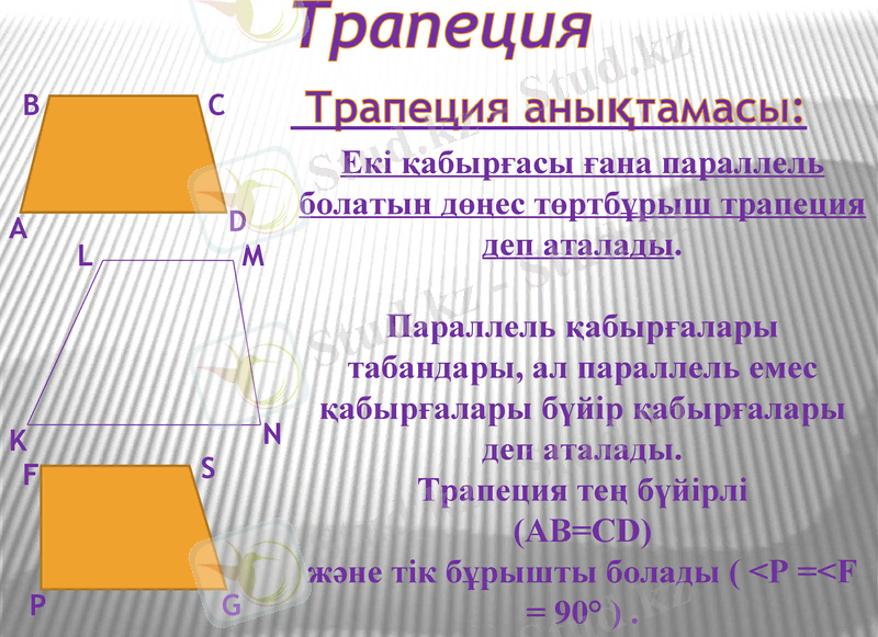 Slide 8