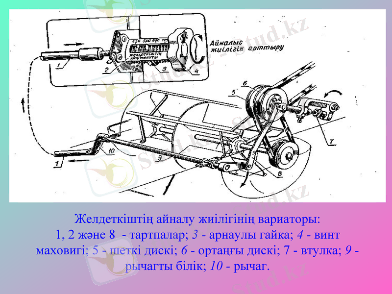 Slide 6