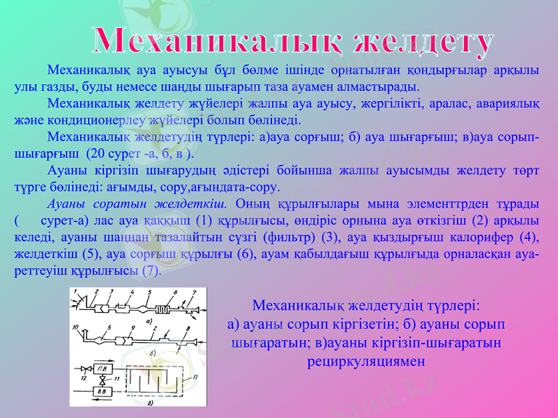 Slide 7