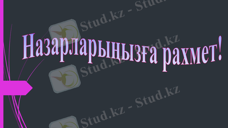 Slide 7