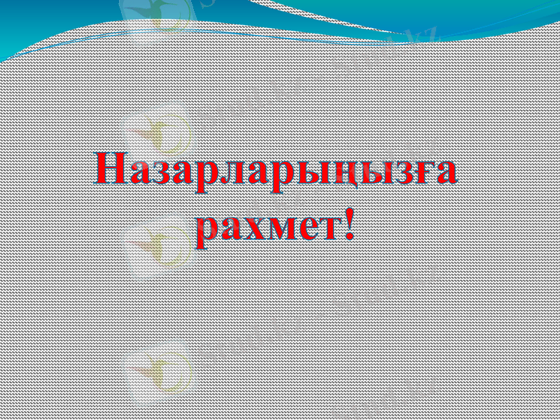 Slide 7