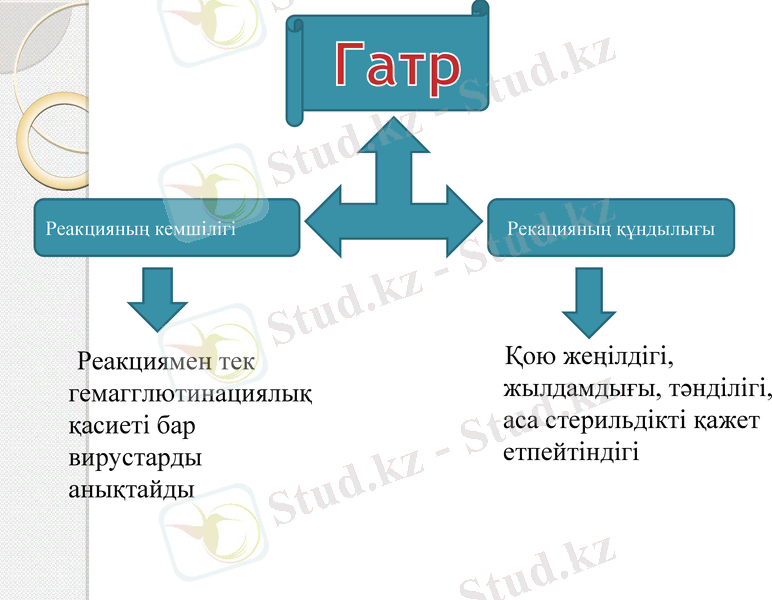 Slide 10