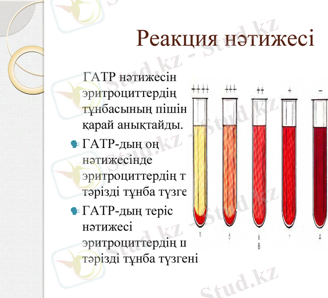 Slide 12