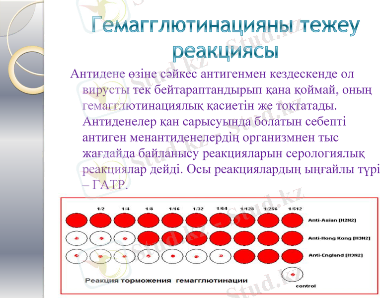 Slide 9