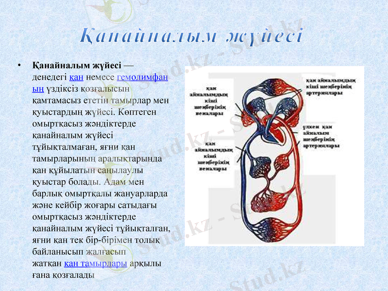 Slide 10