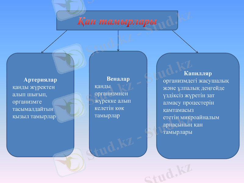 Slide 11