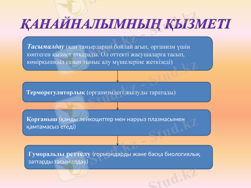 Slide 12