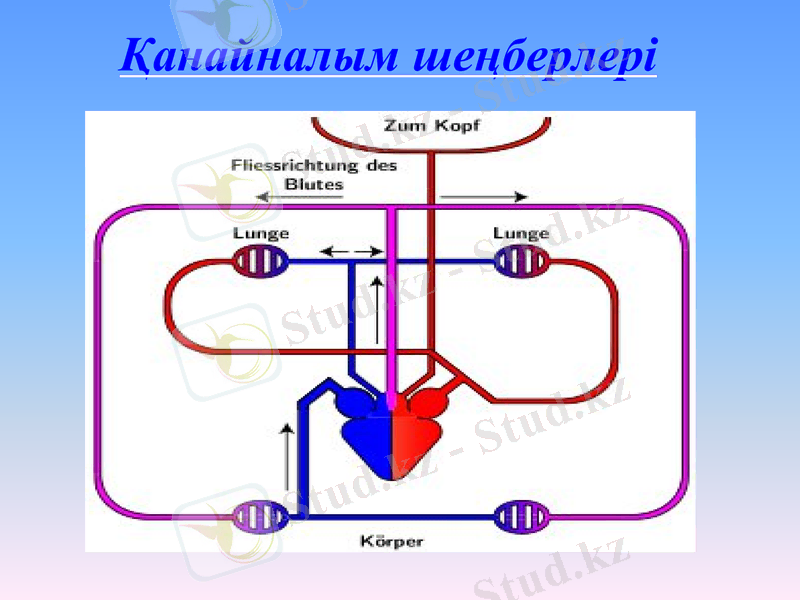 Slide 13