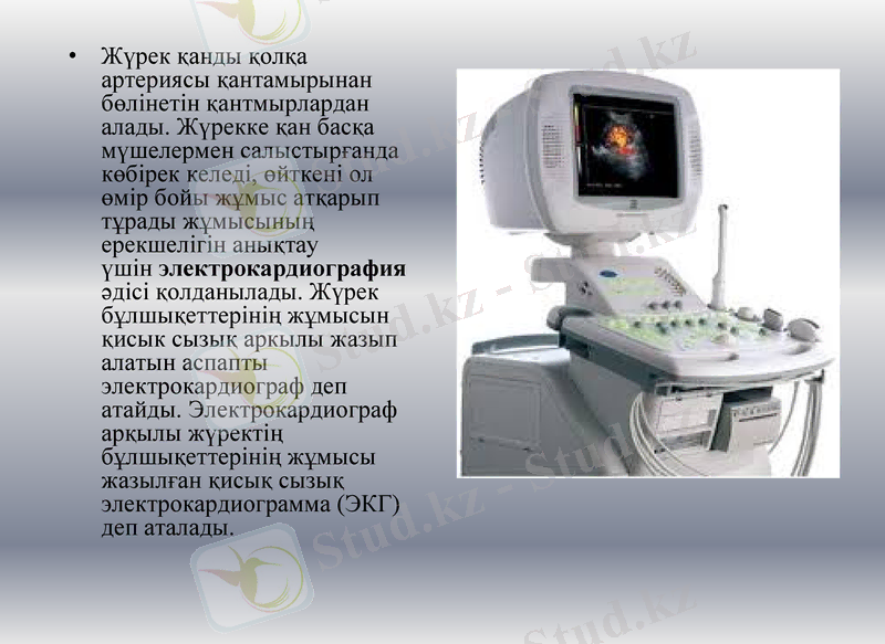 Slide 9