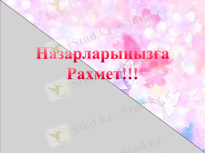 Slide 7
