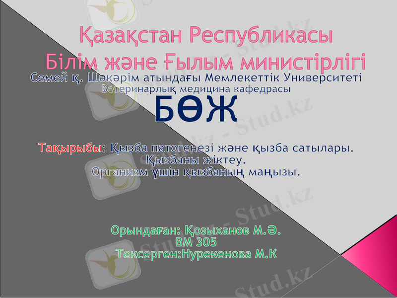 Slide 1