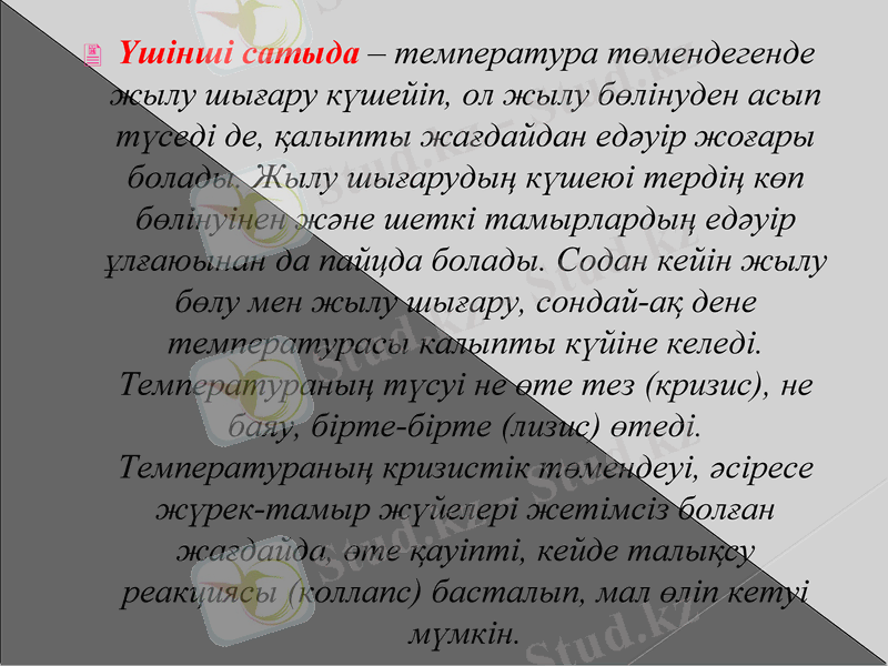 Slide 9