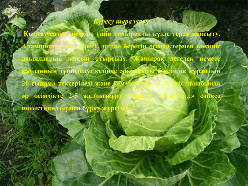 Slide 10