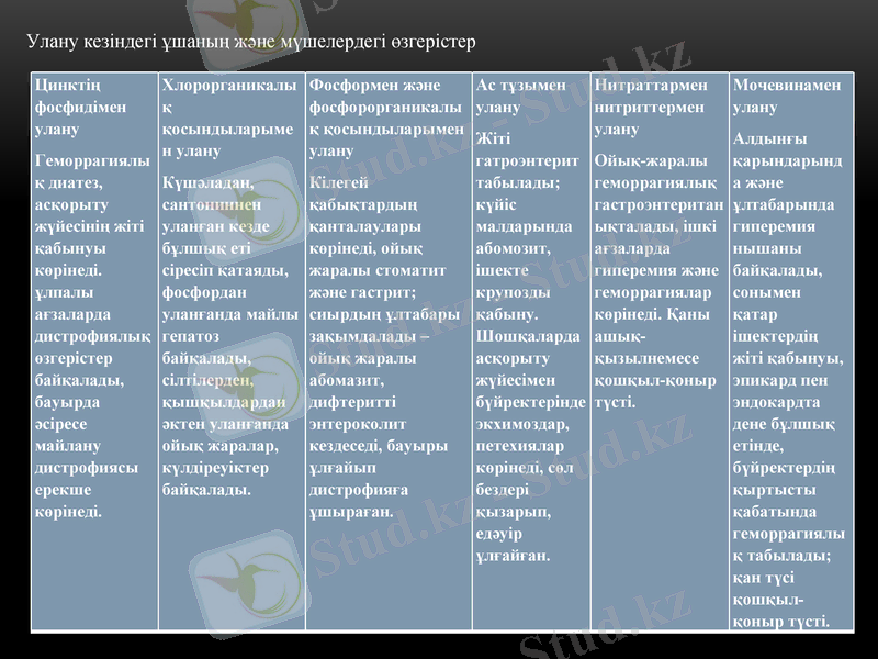 Slide 7