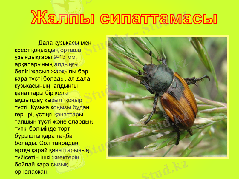 Slide 5