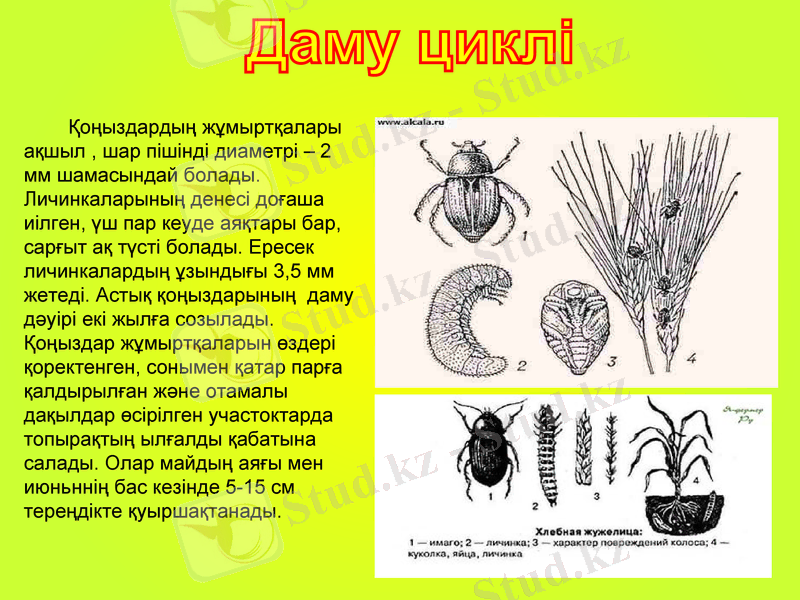 Slide 6