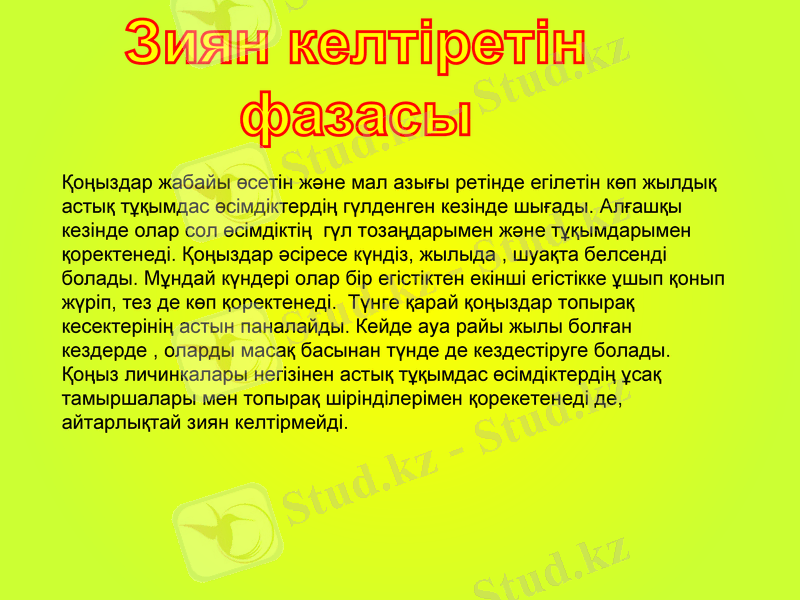 Slide 7