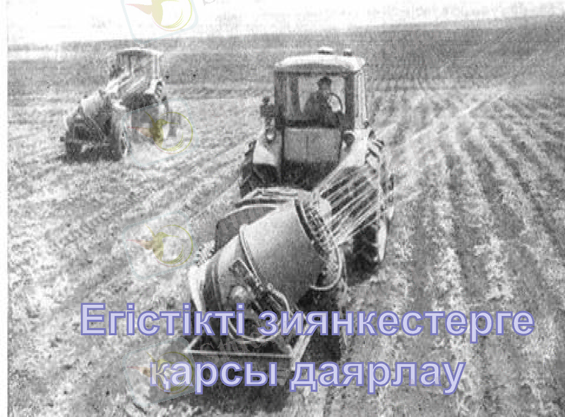 Slide 9